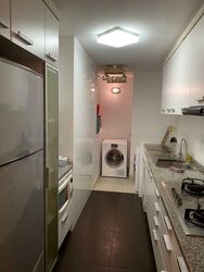 Amaryllis Ville (D11), Condominium #483305781